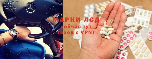 ГАЛЛЮЦИНОГЕННЫЕ ГРИБЫ Осинники