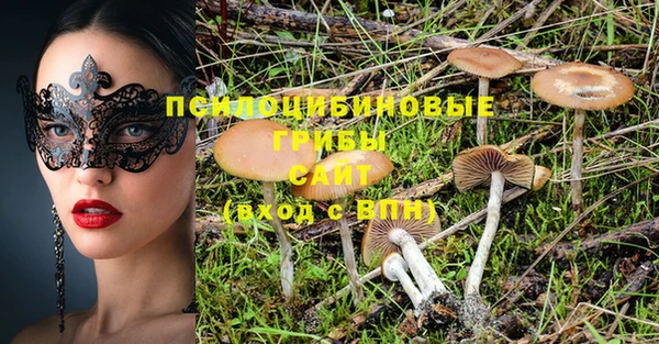 винт Алзамай