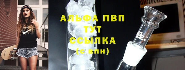 винт Алзамай