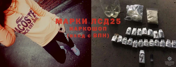 стаф Осташков